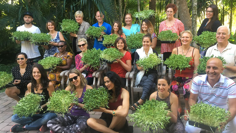 Sylvialife Hippocrates Health Educator